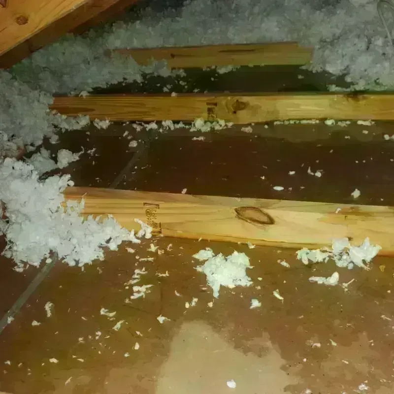 Attic Water Damage in Lompico, CA